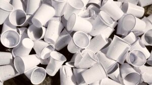 decreto plastica monouso